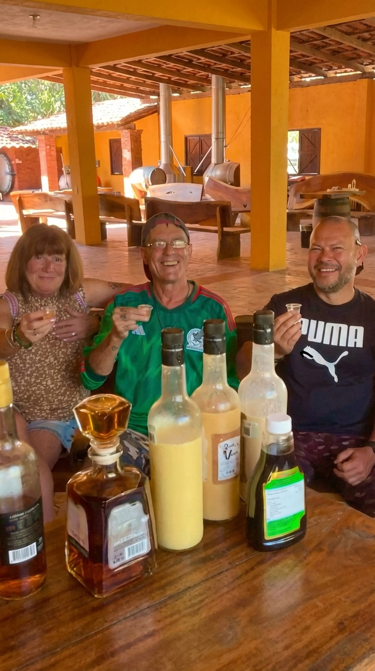 tequila tasting puerto vallarta cityfuntastic experiences
